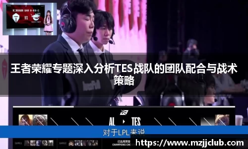 王者荣耀专题深入分析TES战队的团队配合与战术策略